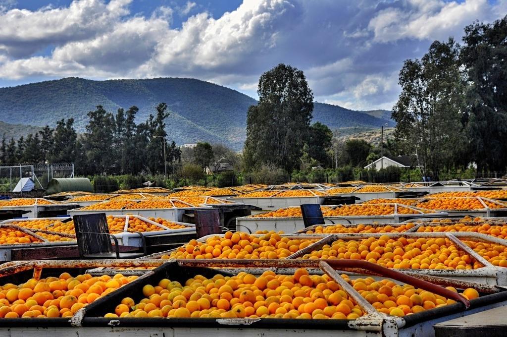 Umlambo River Lodge Kirkwood エクステリア 写真