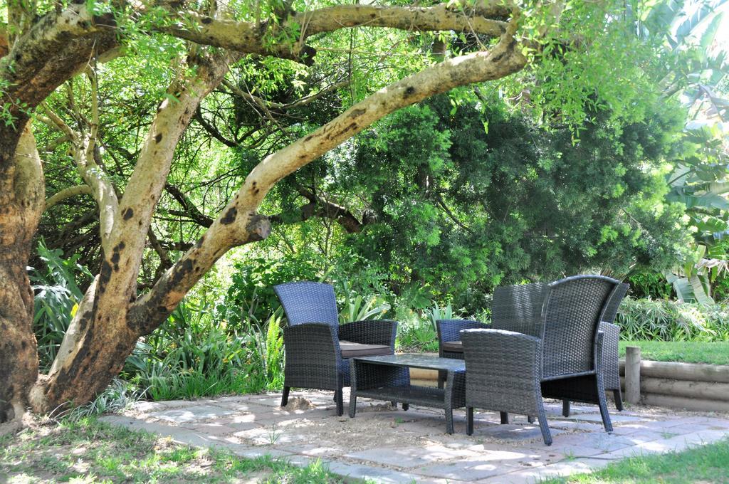 Umlambo River Lodge Kirkwood エクステリア 写真