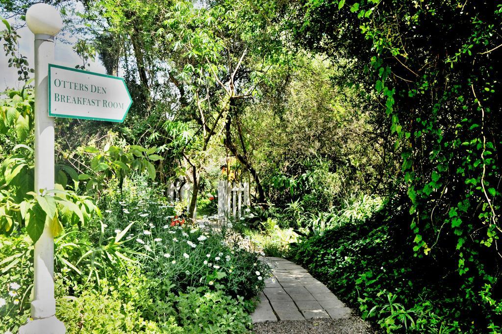 Umlambo River Lodge Kirkwood エクステリア 写真