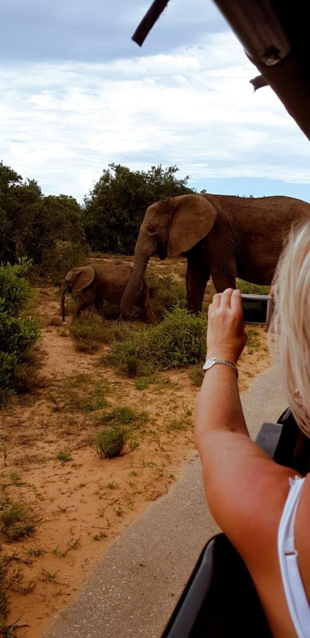 Umlambo River Lodge Kirkwood エクステリア 写真