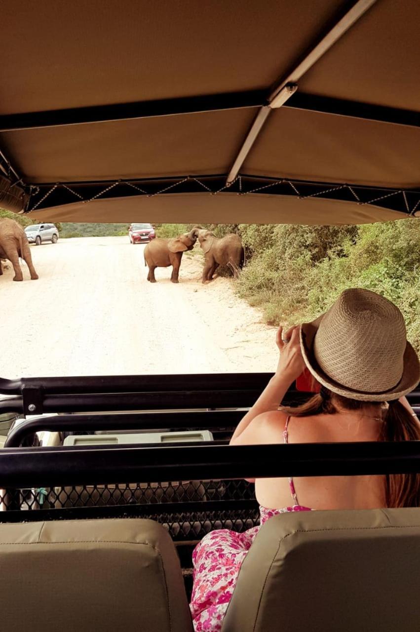Umlambo River Lodge Kirkwood エクステリア 写真