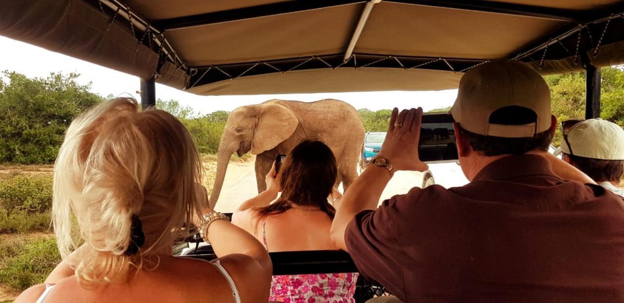 Umlambo River Lodge Kirkwood エクステリア 写真